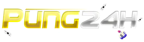 PUNG24H