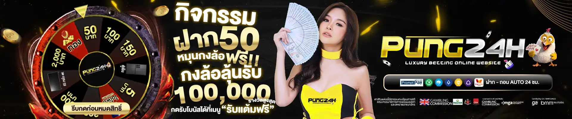 PUNG24H Pro1